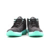 Air Jordan Ultra Fly Green