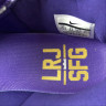 LeBron 16 King Court Purple AO2588-500