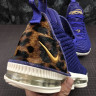 LeBron 16 King Court Purple AO2588-500