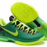 KD V Elite low Oregon Ducks