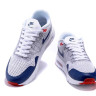 Nike Air Max 1 Ultra USA
