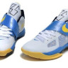 Nike Zoom Kevin Durant 4 (KD IV ) “Entourage”?