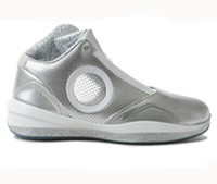 Air Jordan 2010 Silver Anniversary