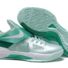 Nike Zoom Kevin Durant 4 (KD IV ) "Easter"