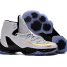 LEBRON 13 ELITE White/gold