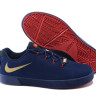 LeBron 12 NSW Lifestyle blue low