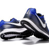 NIKE AIR ZOOM PEGASUS 34 Core blue