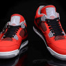 Air Jordan 4 Toro Bravo