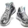 LeBron James X (10) (Prism)