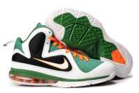 Lebron 9 IX Miami