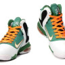 Lebron 9 IX Miami