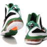 Lebron 9 IX Miami