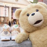 REEBOK INSTA PUMP FURY BAIT X TED 2 