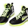 Nike Air Max Lebron 9 Foamposite Lite black/grey/green
