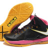 LeBron James X (10) (Floridians)