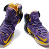 LeBron James 12 purple/yellow