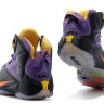 LeBron James 12 purple/yellow