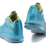 LeBron James X 10 low skyblue/salat