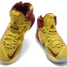 LeBron James 12 Cleveland Cavaliers home