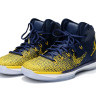 Air Jordan 31 Michigan