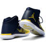 Air Jordan 31 Michigan