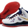 LeBron James X (10) (white blue red)