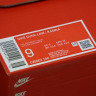 Kasina x Nike Dunk Low 80s Bus CZ6501-100