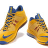 LeBron James X 10 low yellow/blue