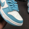 Dunk High 07 GS Island Green 921797-300