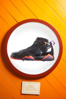 AIR JORDAN7 7 AJ7 WMNS 7 313358-006
