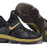Nike LeBron 14 Black/Gold
