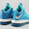 LeBron James X 10 low skyblue/white