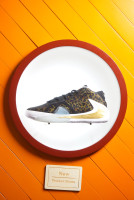 Nike Zoom Freak 1 Coming to America BQ5422-900