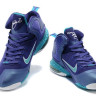 Lebron James 9 (violet)