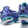 Lebron James 9 (violet)