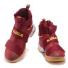 Nike LeBron Soldier 10 Red Gum