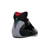 Air Jordan 20 Stealth