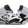 Air Jordan 6 Oreo