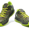 LeBron 11 Low dunkman