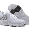 NIKE LEBRON ZOOM WITNESS White